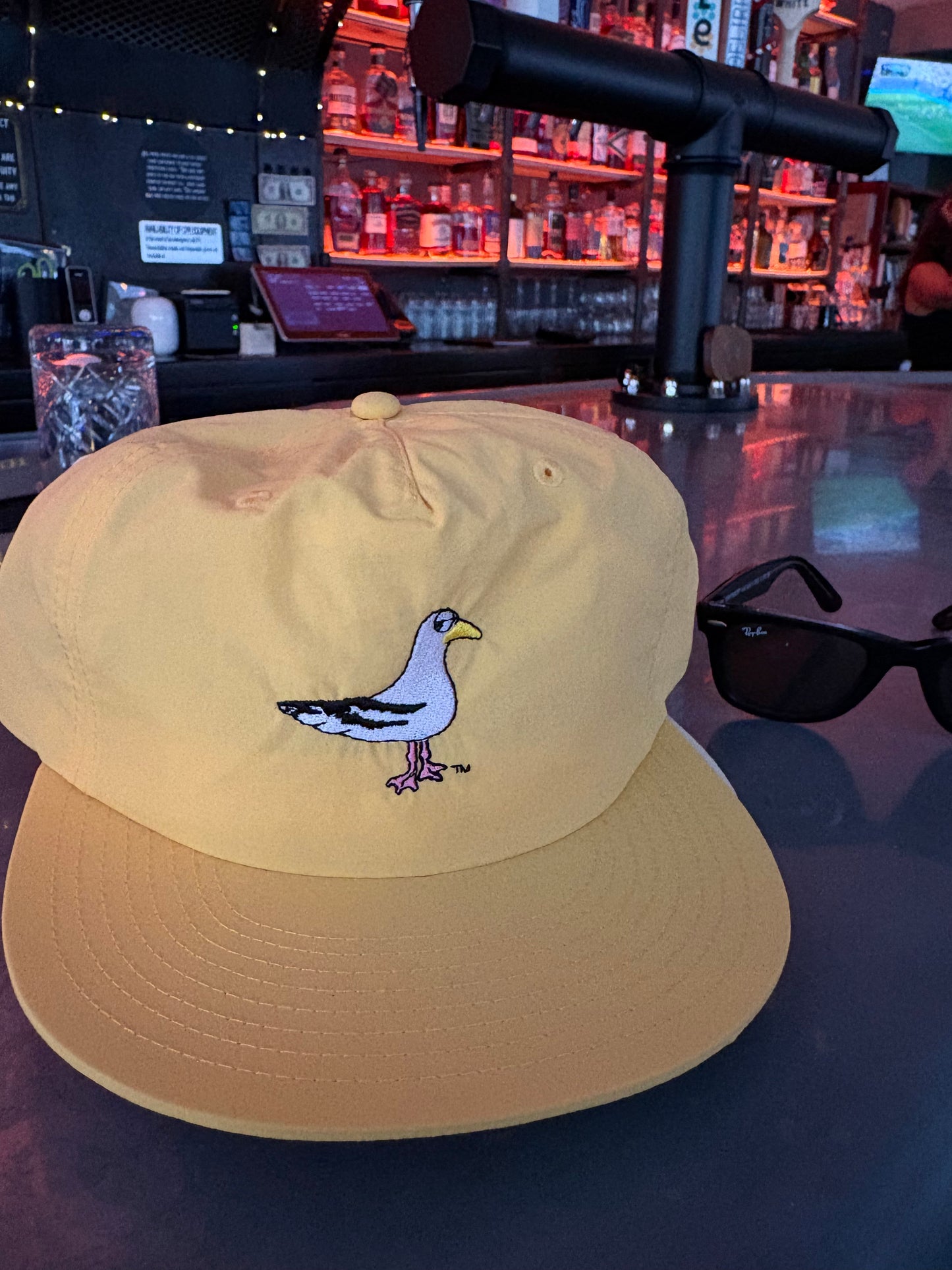 Side-Eye Seagull Surf Hat