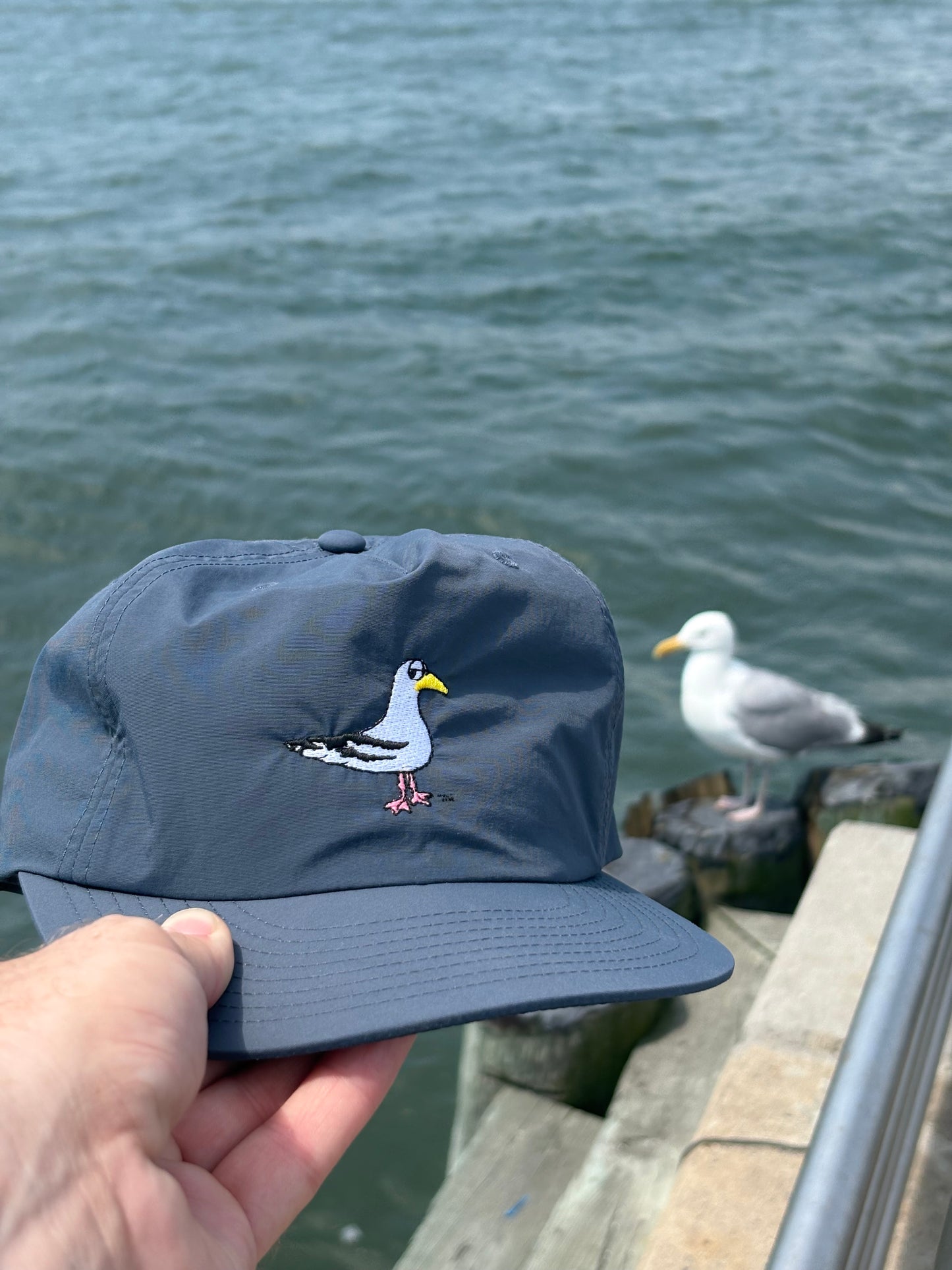 Side-Eye Seagull Surf Hat
