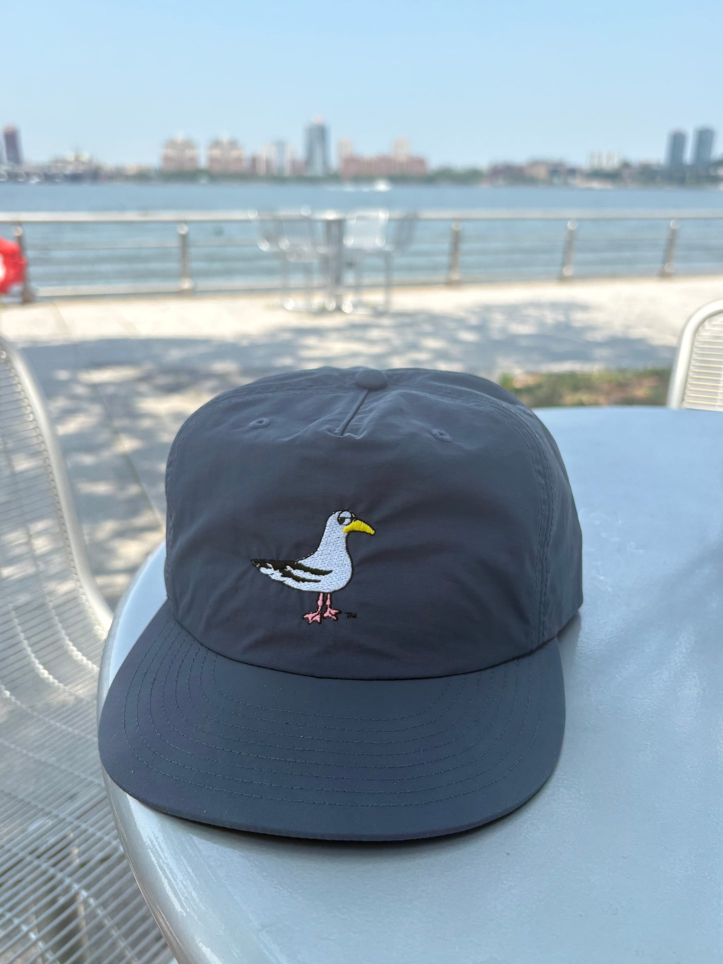 Side-Eye Seagull Surf Hat