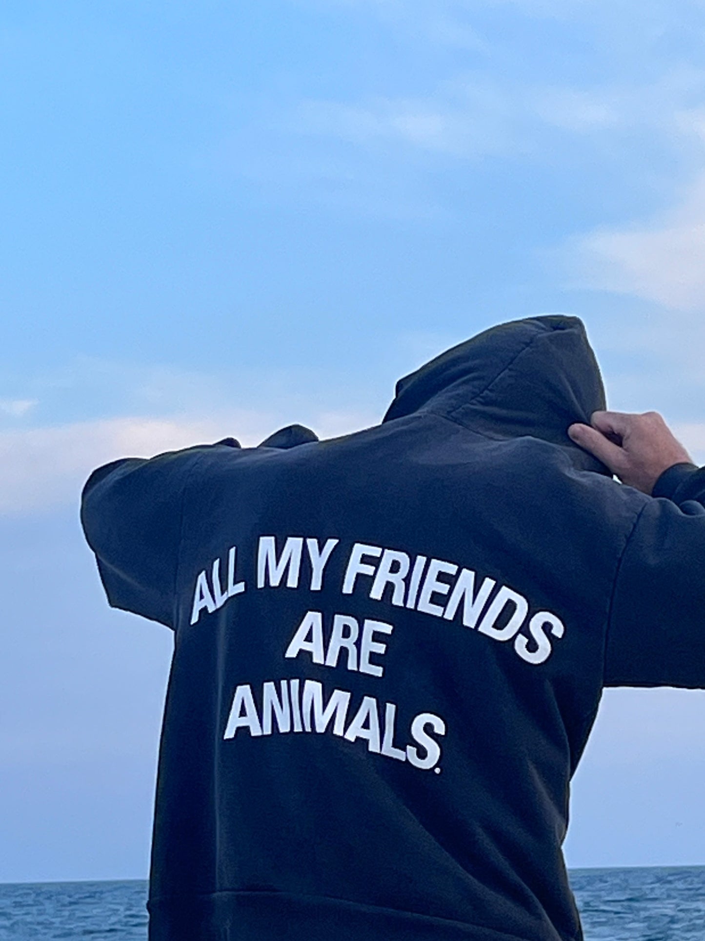 Surf Hoodie by all my friends are animals®